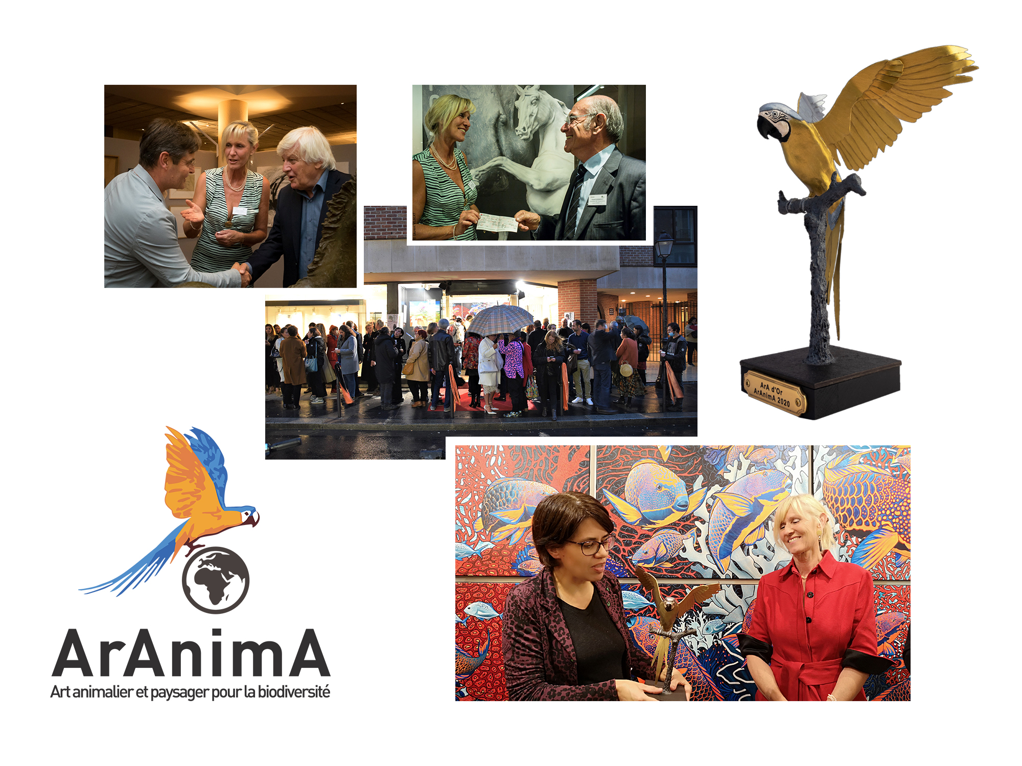 photos ArAnimA